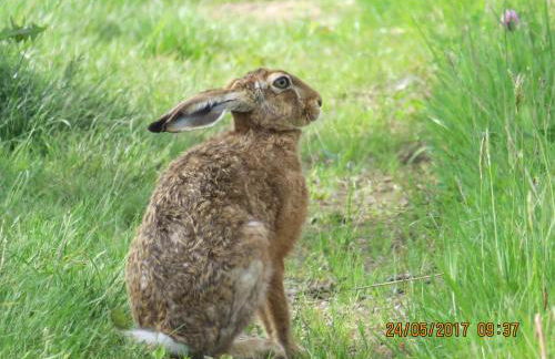 Ferienwohnung Rhönbergblick - Foto 37