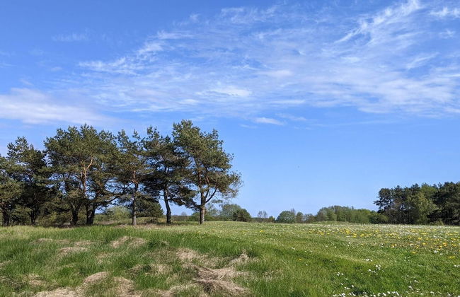 6 Person Holiday Home in Degeberga-by Traum - Foto 15