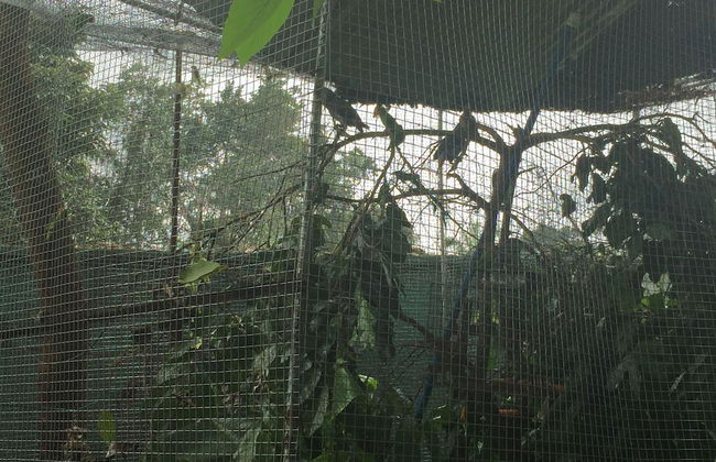 Amadi Villa - Photo 23