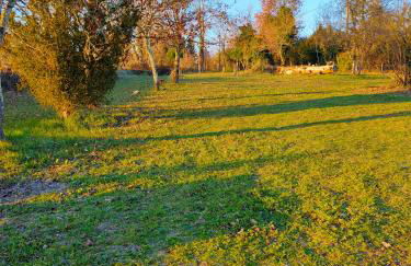 La Maison des oliviers - Foto 28