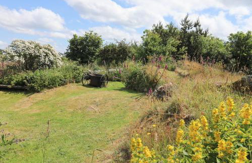 Plas Coch Rhoscolyn - Foto 30