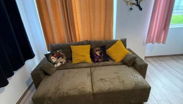 Grand F2 centre-ville, parking privée - Foto 5