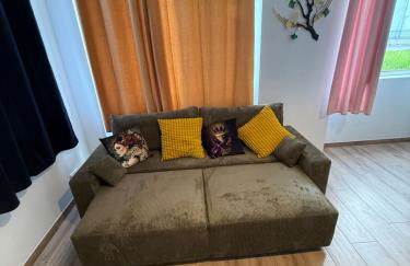 Grand F2 centre-ville, parking privée - Foto 5