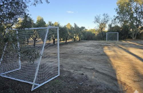 Finca El Palmar - Foto 13