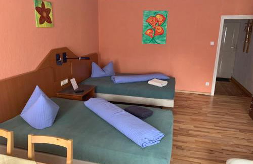 Pension Scheffler - Foto 27