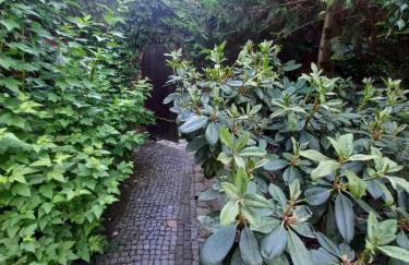 Avalon Połchowo - Foto 18