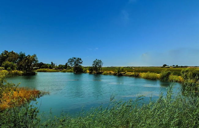 Bezalel Estate Country House - Photo 35