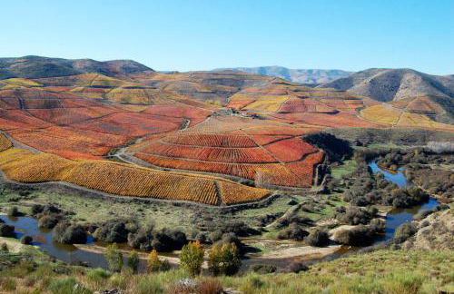 Casa da Cisterna - Foto 67