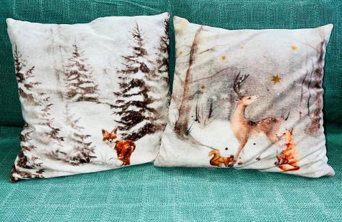 CASA CARCENTINA - fronte seggiovia, sulla pista Stelvio - Foto 21