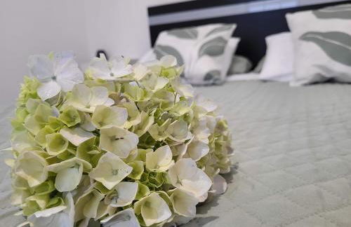 Azores village apartments - Photo 8