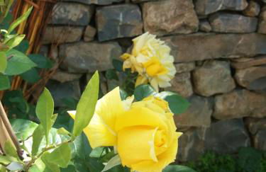 La casa del Maestro - Foto 57