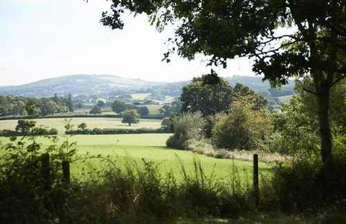 Downclose Piggeries - Photo 19
