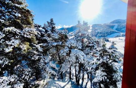 Petit Ours Blanc - Foto 11