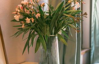Borgo Belsedere - biofarm estate resort in Tuscany - Foto 73