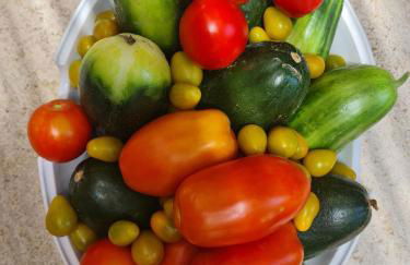 Villa Ulrike - Foto 6