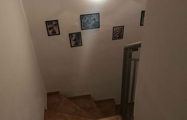 Velez Nazari - Photo 75