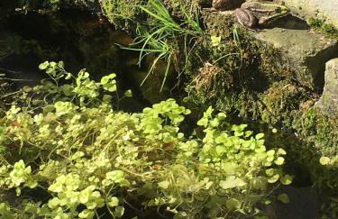 Loft indépendant en bord de Tarn - Photo 6