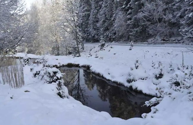 Gite Gretel, in a Green Setting by a Stream - Foto 15
