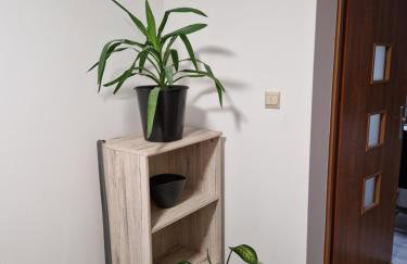 Apartament Strzyżowiec 80 - Foto 44