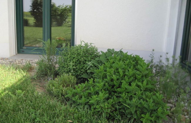 Stadler Comfortable Holiday Residence - Photo 18