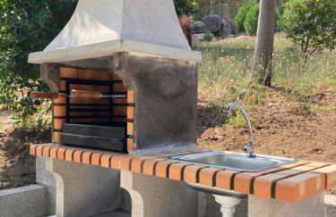 Quintinha Silvestre - Foto 24