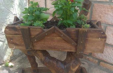 Simos Apartments - Photo 47