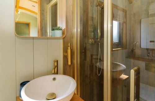 Fir Tree Shepherd's Hut - Photo 30