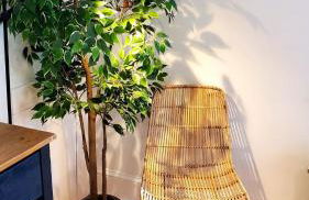 The Blue Sapphire 2BR 2 King beds & ample backyard - Foto 32