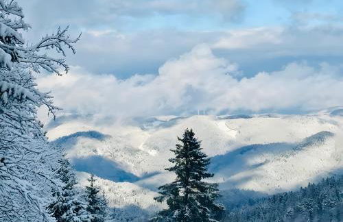 Schwarzwald Nescht Triberg - Foto 22