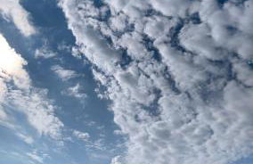 Agritur Maso Forcola - Photo 2