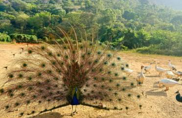 Apt Flat 210 Condomínio Pedra do Rodeadouro - Foto 34