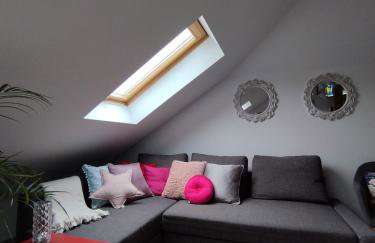 Ropienka ski micro - Foto 11