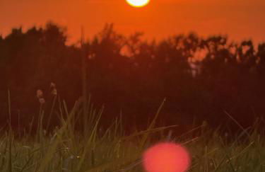 Mello-Ray River House - Photo 23