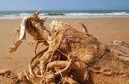 Villa Cipollazzo - Foto 28