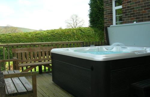 Bevan House with Hot Tub in Mid-Wales - Photo 3