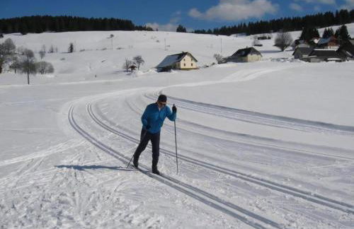 Forsthauswohnung im Schwarzwald - Foto 31