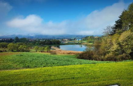 Dzikie Lisko - Domy wakacyjne w Bieszczadach - Foto 45