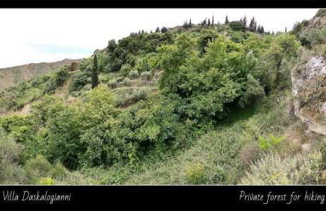 Villa Daskalogianni - Foto 60