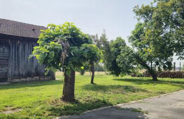 Longère des Galinoux - Photo 15