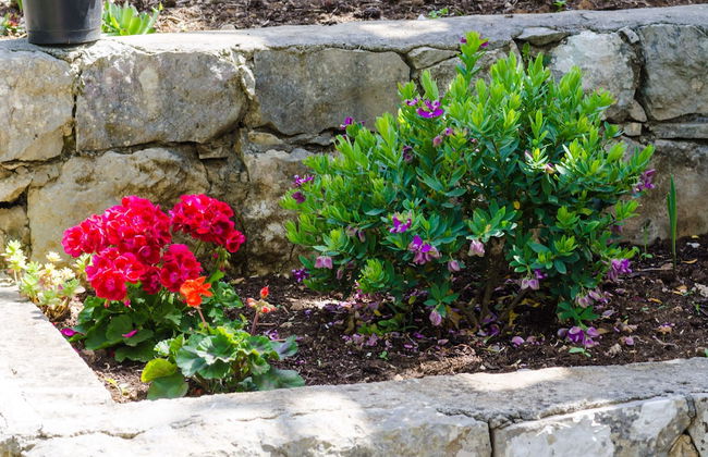 Apartment Nadine - Foto 20