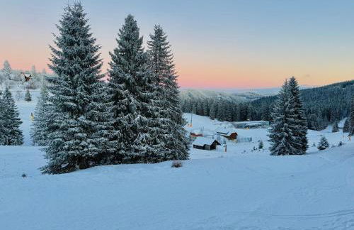 Mitten auf dem Feldberg Panorama Apartment Bergglück - Foto 3