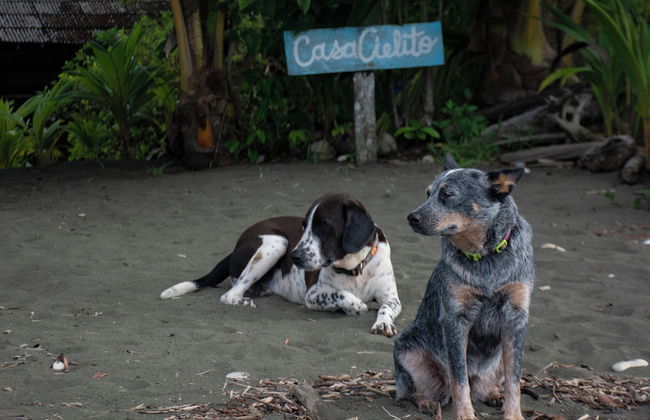 Casa Cielito - Photo 43