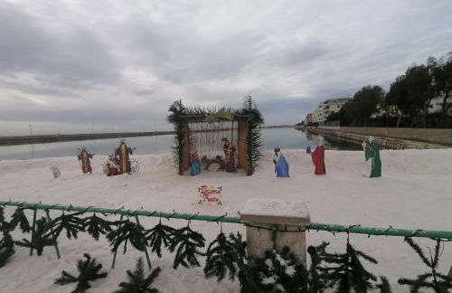 Fenicottero Rosa - Foto 31