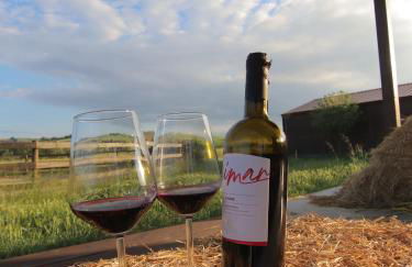 Le Dame Country House, Marche - Foto 24