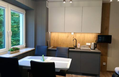 Kurort Kozubnik Apartament 33 Wellness &SPA - Foto 57