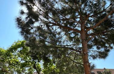 GREEN&PURPLE STUDIO 24-24 Access - Foto 25