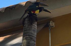 Rancho Fundo - Foto 15