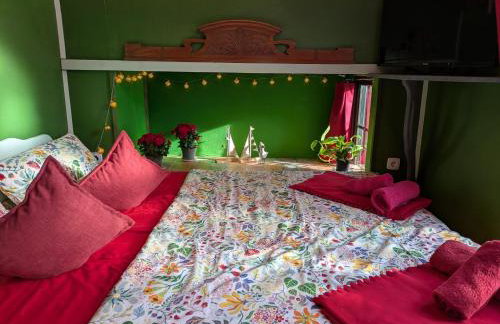 Tiny Haus - Sternenblick - Sauna - Foto 29