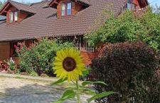 Mroczkówka - Foto 7