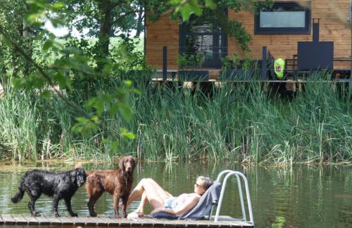 TinyHousebeiDresden in absoluter Alleinlage direkt am Naturteich große Terrasse Grill und Kaminofen Juni - September Mindestmietzeit 1 Woche Sa- Sa - Foto 10